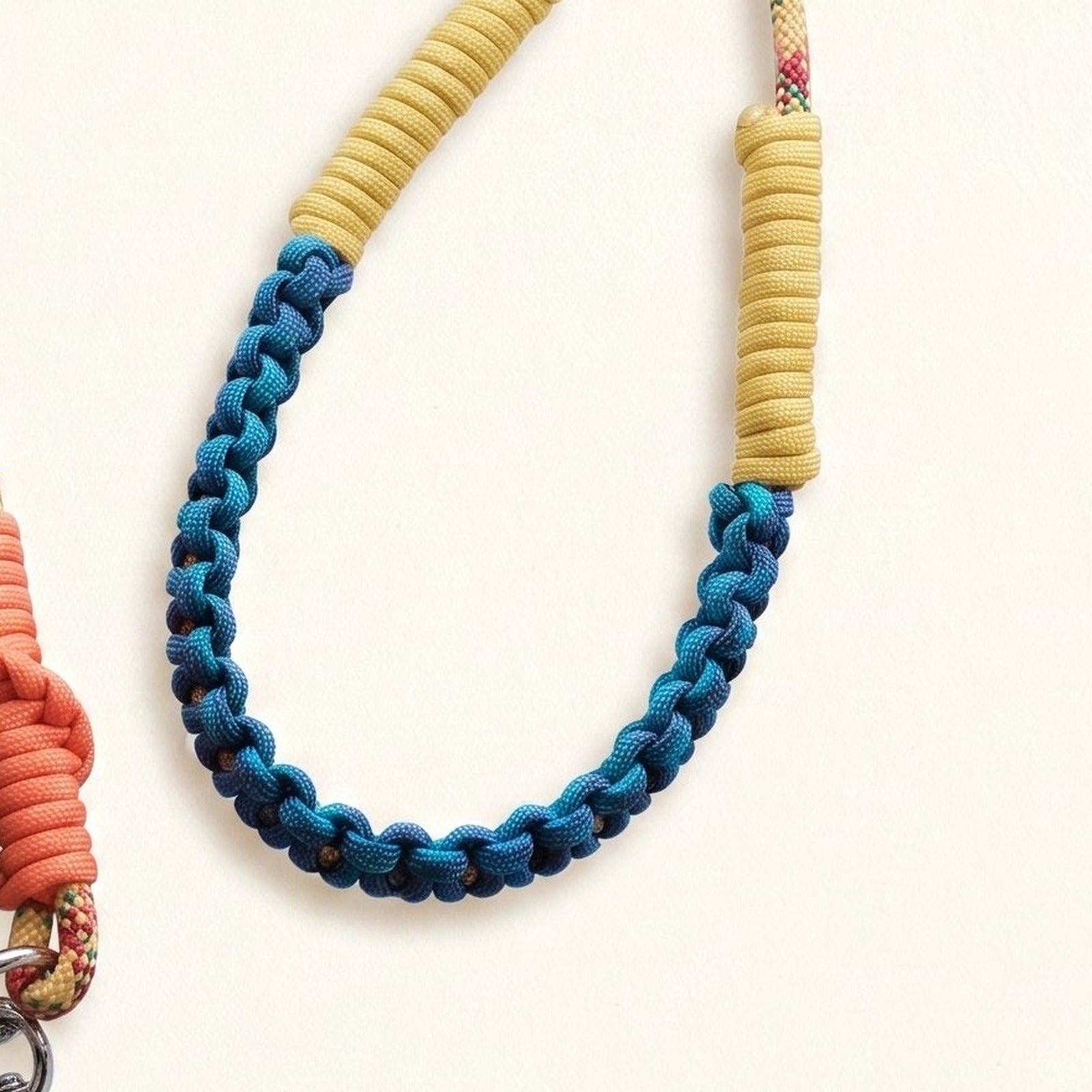 Close-up of braided rope in Carnival (rainbow & teal)